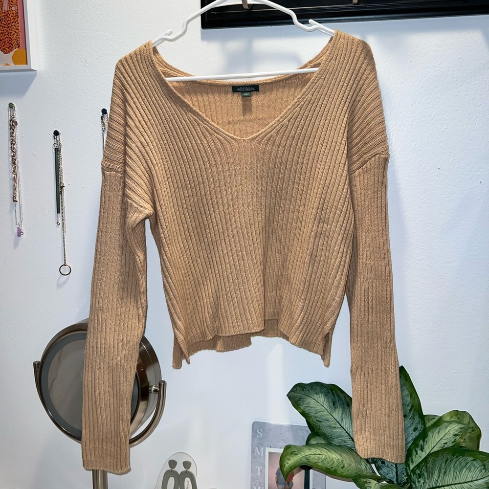 Wild Fable V Neck Long Sleeve Fitted Sweater